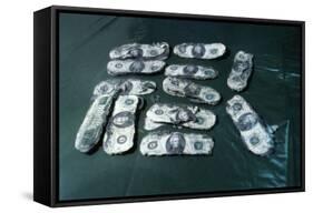 Hijacker D. B. Cooper's Monies Found-null-Framed Stretched Canvas