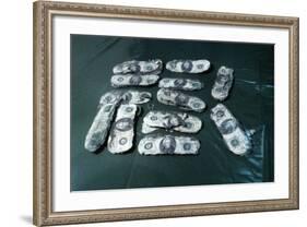 Hijacker D. B. Cooper's Monies Found-null-Framed Photographic Print