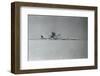 Hijackers Destroying Airplanes-null-Framed Photographic Print