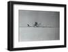 Hijackers Destroying Airplanes-null-Framed Photographic Print