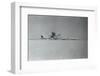 Hijackers Destroying Airplanes-null-Framed Photographic Print