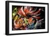 Hikari to Kage-Taka Sudo-Framed Giclee Print