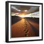 Hike in Namib Desert-Galyna Andrushko-Framed Photographic Print