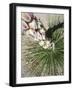 Hike through Tent Rocks National Monument-Martina Roth Kunst-Foto-Design-Framed Photographic Print