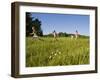 Hikeers walk in a field in Sabins Pasture, Montpelier, Vermont, USA-Jerry & Marcy Monkman-Framed Photographic Print