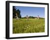 Hikeers walk in a field in Sabins Pasture, Montpelier, Vermont, USA-Jerry & Marcy Monkman-Framed Photographic Print