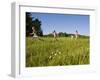 Hikeers walk in a field in Sabins Pasture, Montpelier, Vermont, USA-Jerry & Marcy Monkman-Framed Photographic Print