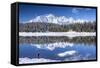 Hiker Admires the Snowy Peaks and Woods Reflected in Lake Palu, Malenco Valley, Valtellina, Italy-Roberto Moiola-Framed Stretched Canvas