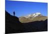 Hiker Admires the View of Alpi Graie (Graian Alps) Landscape, Gran Paradiso National Park, Italy-Roberto Moiola-Mounted Photographic Print