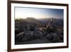 Hiker at Sunrise, Cathedral Provincial Park, British Columbia, Canada, North America-Colin Brynn-Framed Photographic Print