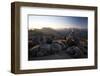 Hiker at Sunrise, Cathedral Provincial Park, British Columbia, Canada, North America-Colin Brynn-Framed Photographic Print