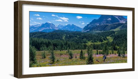 Hiker at wildflowers meadow, Monarch Ramparts, Healy Pass, Alberta, Canada-null-Framed Photographic Print