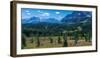 Hiker at wildflowers meadow, Monarch Ramparts, Healy Pass, Alberta, Canada-null-Framed Photographic Print