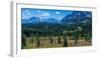 Hiker at wildflowers meadow, Monarch Ramparts, Healy Pass, Alberta, Canada-null-Framed Photographic Print