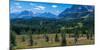 Hiker at wildflowers meadow, Monarch Ramparts, Healy Pass, Alberta, Canada-null-Mounted Photographic Print