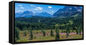 Hiker at wildflowers meadow, Monarch Ramparts, Healy Pass, Alberta, Canada-null-Framed Stretched Canvas