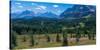 Hiker at wildflowers meadow, Monarch Ramparts, Healy Pass, Alberta, Canada-null-Stretched Canvas