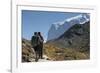 Hiker, Breithorn, Gornergrat, Valais, Switzerland-Rainer Mirau-Framed Photographic Print