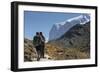 Hiker, Breithorn, Gornergrat, Valais, Switzerland-Rainer Mirau-Framed Photographic Print