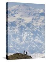 Hiker, Denali National Park, Alaska, USA-Hugh Rose-Stretched Canvas