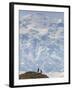 Hiker, Denali National Park, Alaska, USA-Hugh Rose-Framed Premium Photographic Print