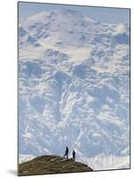 Hiker, Denali National Park, Alaska, USA-Hugh Rose-Mounted Premium Photographic Print