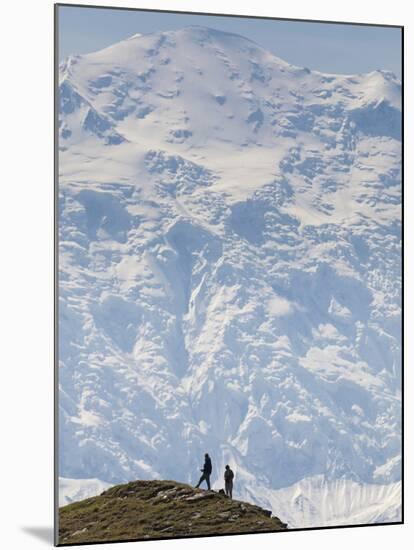 Hiker, Denali National Park, Alaska, USA-Hugh Rose-Mounted Premium Photographic Print
