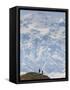 Hiker, Denali National Park, Alaska, USA-Hugh Rose-Framed Stretched Canvas