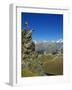 Hiker High on Trail Above Lake at Schwarzee Paradise, Zermatt, Valais, Switzerland-Christian Kober-Framed Photographic Print