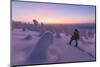 Hiker in the snowy forest at dusk, Riisitunturi National Park, Posio, Lapland, Finland-Roberto Moiola-Mounted Photographic Print