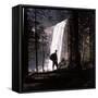 Hiker Looking at Vernal Falls in Yosemite National Park-Ralph Crane-Framed Stretched Canvas