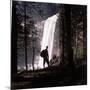 Hiker Looking at Vernal Falls in Yosemite National Park-Ralph Crane-Mounted Photographic Print