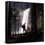 Hiker Looking at Vernal Falls in Yosemite National Park-Ralph Crane-Framed Stretched Canvas