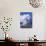 Hiker on Bench, the Breithorn and Breithorn Glacier, Rotenboden, Zermatt, Valais, Switzerland-Tomlinson Ruth-Photographic Print displayed on a wall