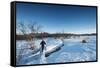 Hiker on Kungsleden (The Kings Trail) trail, Abisko National Park, Sweden, Scandinavia, Europe-Christian Kober-Framed Stretched Canvas