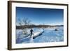 Hiker on Kungsleden (The Kings Trail) trail, Abisko National Park, Sweden, Scandinavia, Europe-Christian Kober-Framed Photographic Print