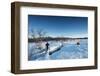 Hiker on Kungsleden (The Kings Trail) trail, Abisko National Park, Sweden, Scandinavia, Europe-Christian Kober-Framed Photographic Print