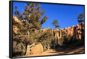 Hiker on Navajo Loop Trail with Hoodoos and Pine Trees Lit by Early Morning Sun in Winter-Eleanor-Framed Photographic Print