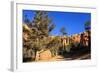 Hiker on Navajo Loop Trail with Hoodoos and Pine Trees Lit by Early Morning Sun in Winter-Eleanor-Framed Photographic Print