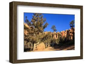 Hiker on Navajo Loop Trail with Hoodoos and Pine Trees Lit by Early Morning Sun in Winter-Eleanor-Framed Photographic Print