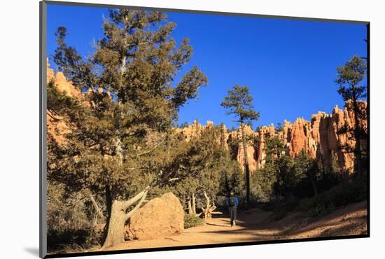 Hiker on Navajo Loop Trail with Hoodoos and Pine Trees Lit by Early Morning Sun in Winter-Eleanor-Mounted Photographic Print