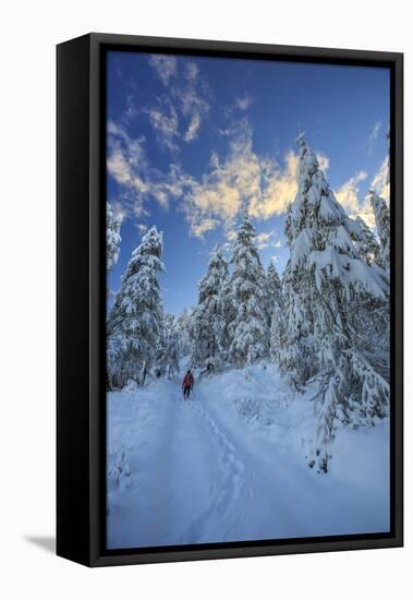 Hiker on Snowshoes Ventures in Snowy Woods-Roberto Moiola-Framed Stretched Canvas