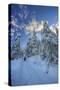 Hiker on Snowshoes Ventures in Snowy Woods-Roberto Moiola-Stretched Canvas