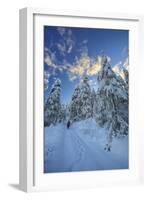 Hiker on Snowshoes Ventures in Snowy Woods-Roberto Moiola-Framed Photographic Print