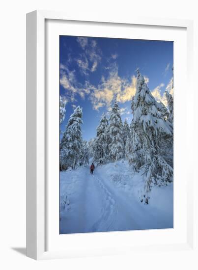 Hiker on Snowshoes Ventures in Snowy Woods-Roberto Moiola-Framed Photographic Print