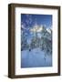 Hiker on Snowshoes Ventures in Snowy Woods-Roberto Moiola-Framed Photographic Print