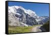 Hiker on the path between green meadows and snowy peaks, Wengernalp, Wengen, Bernese Oberland, Cant-Roberto Moiola-Framed Stretched Canvas