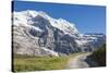 Hiker on the path between green meadows and snowy peaks, Wengernalp, Wengen, Bernese Oberland, Cant-Roberto Moiola-Stretched Canvas
