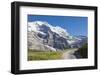 Hiker on the path between green meadows and snowy peaks, Wengernalp, Wengen, Bernese Oberland, Cant-Roberto Moiola-Framed Photographic Print