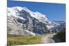 Hiker on the path between green meadows and snowy peaks, Wengernalp, Wengen, Bernese Oberland, Cant-Roberto Moiola-Mounted Photographic Print